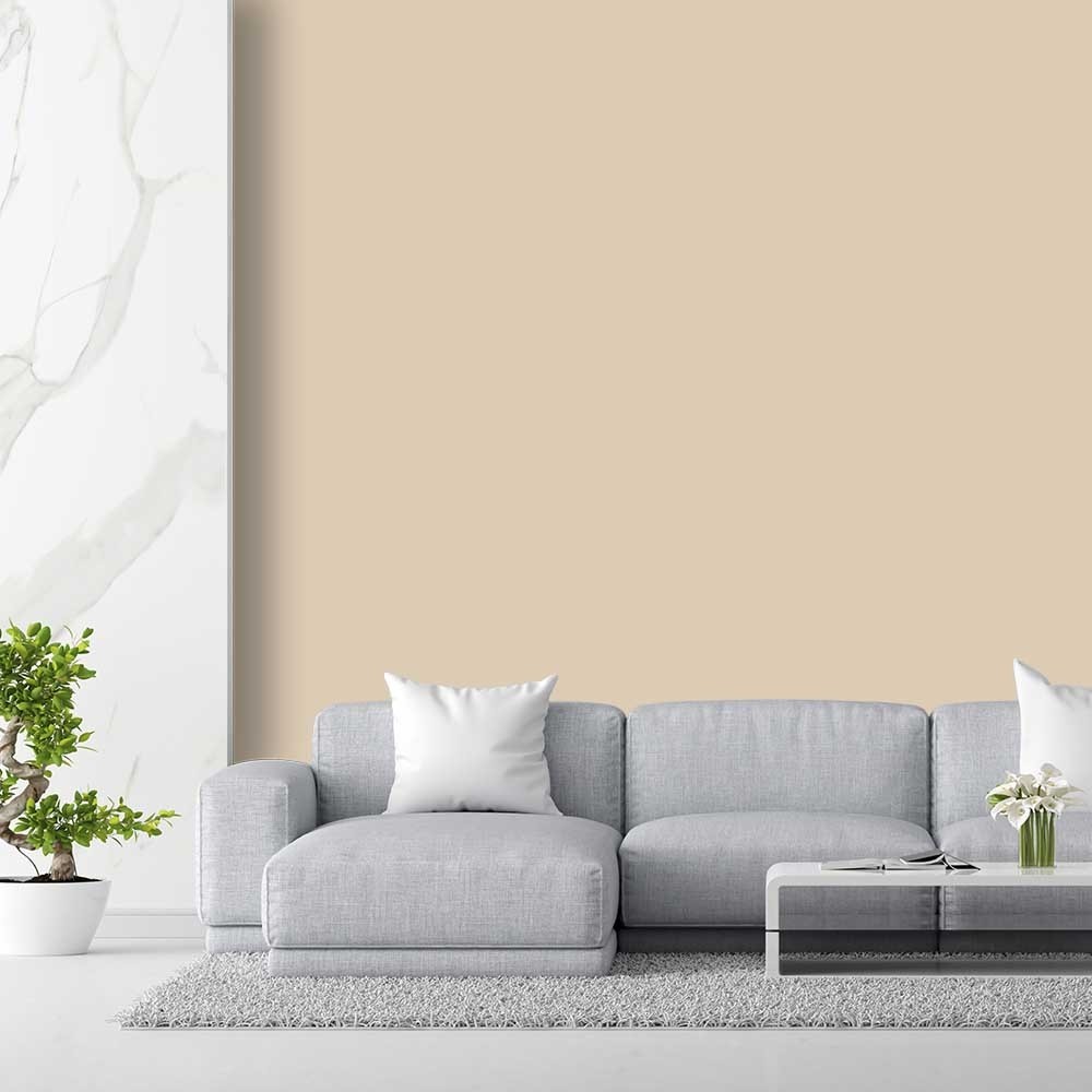 Tinta CR Acrílica Interior e Exterior Rende Muito Areia GL 3,2 Litros - Coral