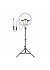 Iluminador Ring Light de Led 14" 8W Luz Amarela, Neutra e Branca 3000K/4200K/6500K 5V USB com Tripé 160cm e 3 Suportes para Celular Preto - G-light